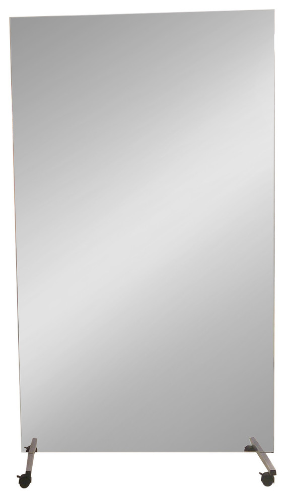 LiteMirror, Shatterproof Portable Mirror with Rolling Stand, 24"x72" (2