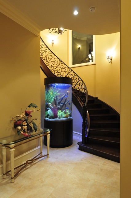 Stunning Cylinder Aquarium With Wrap Around Staircase