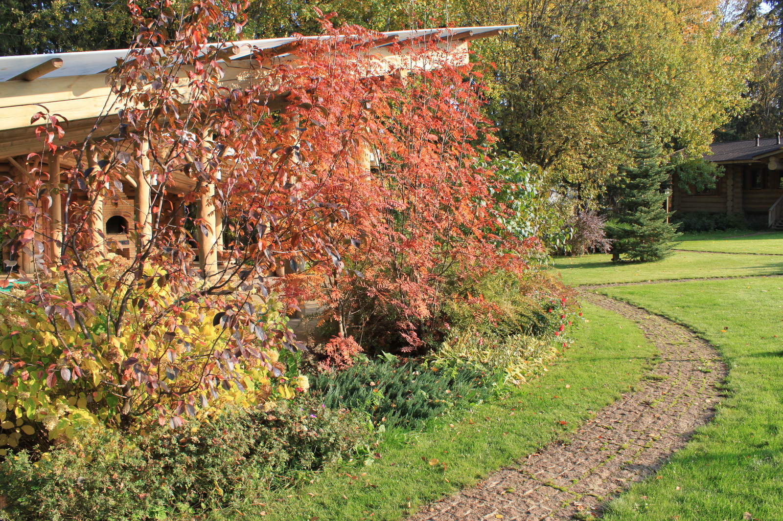 Лесная жизнь