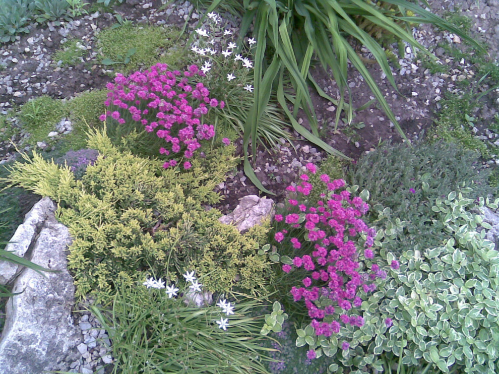 Альпийская горка