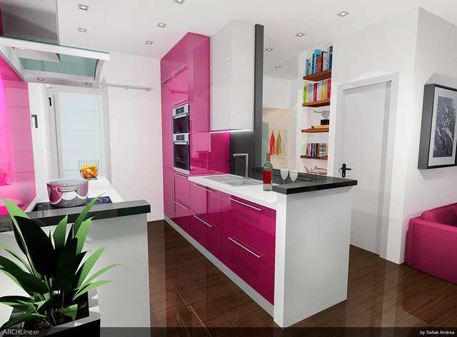 Kitchen conversion in two different style modern-rendering