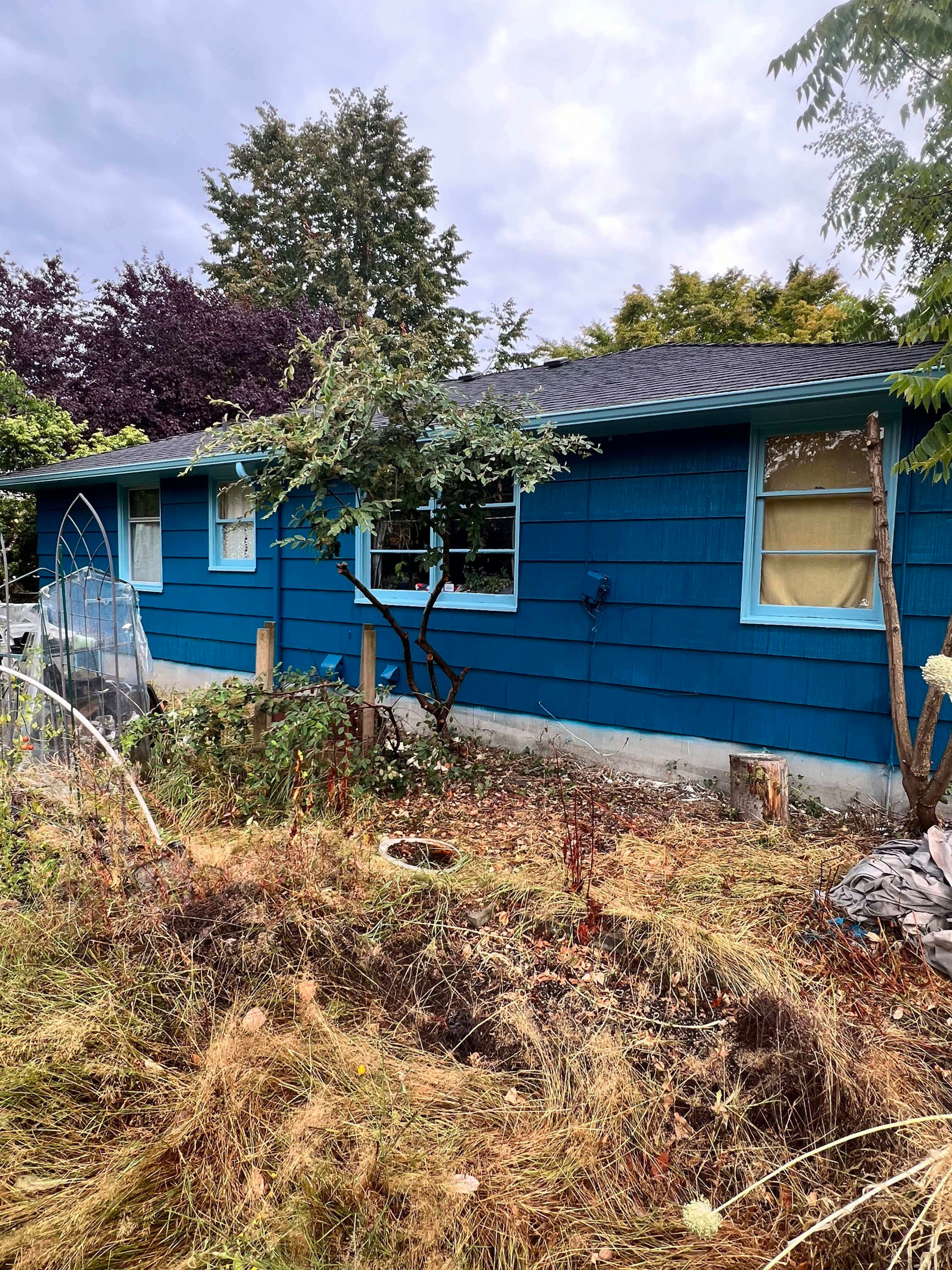 Exterior House Painting