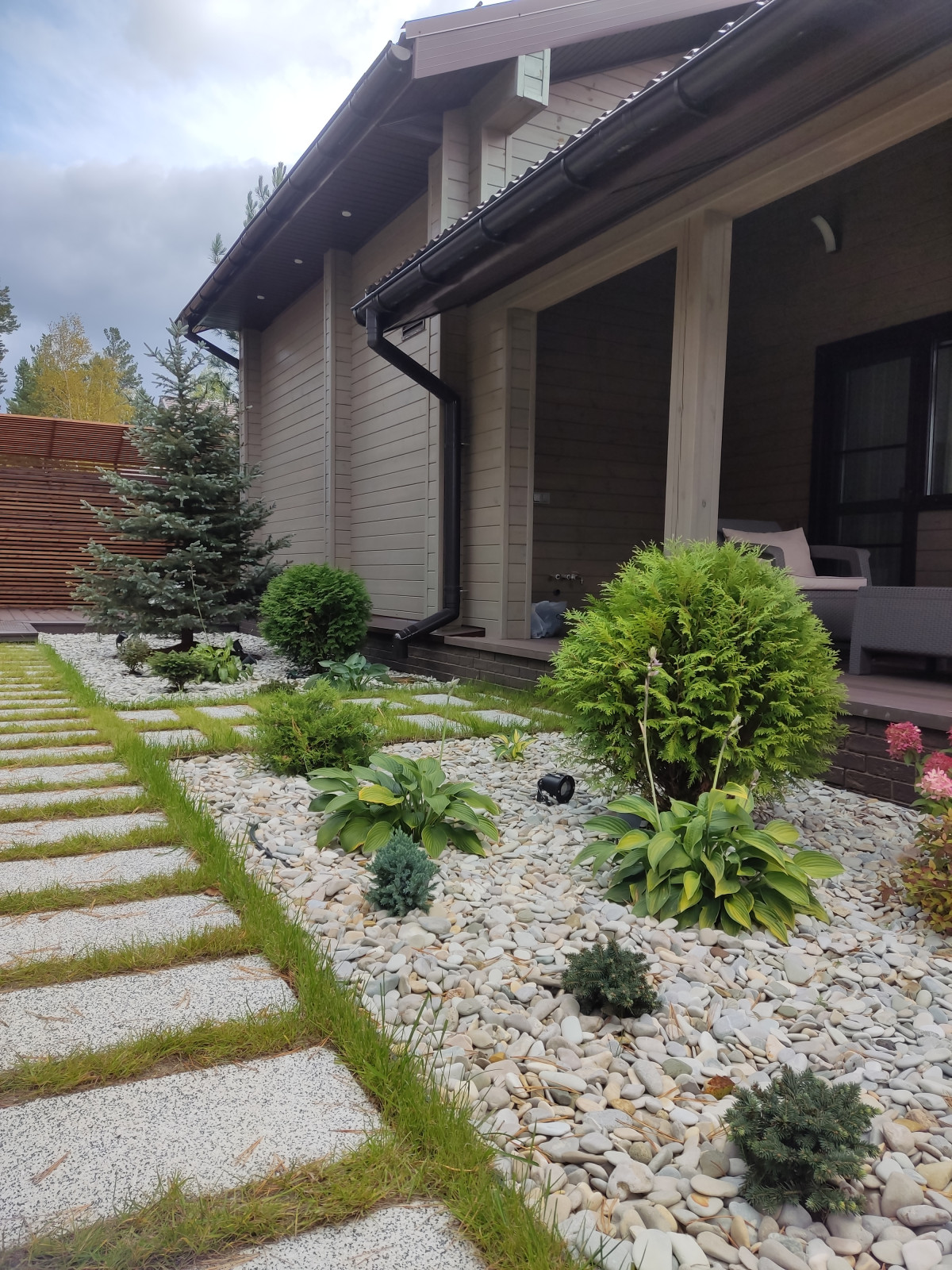 Денис Светлый Яр