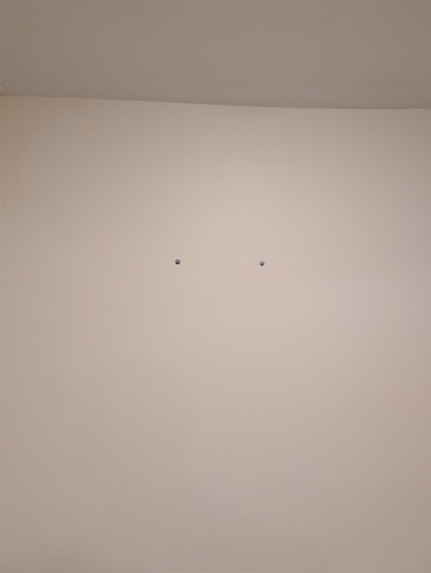 Basement Design+Build - Painting
