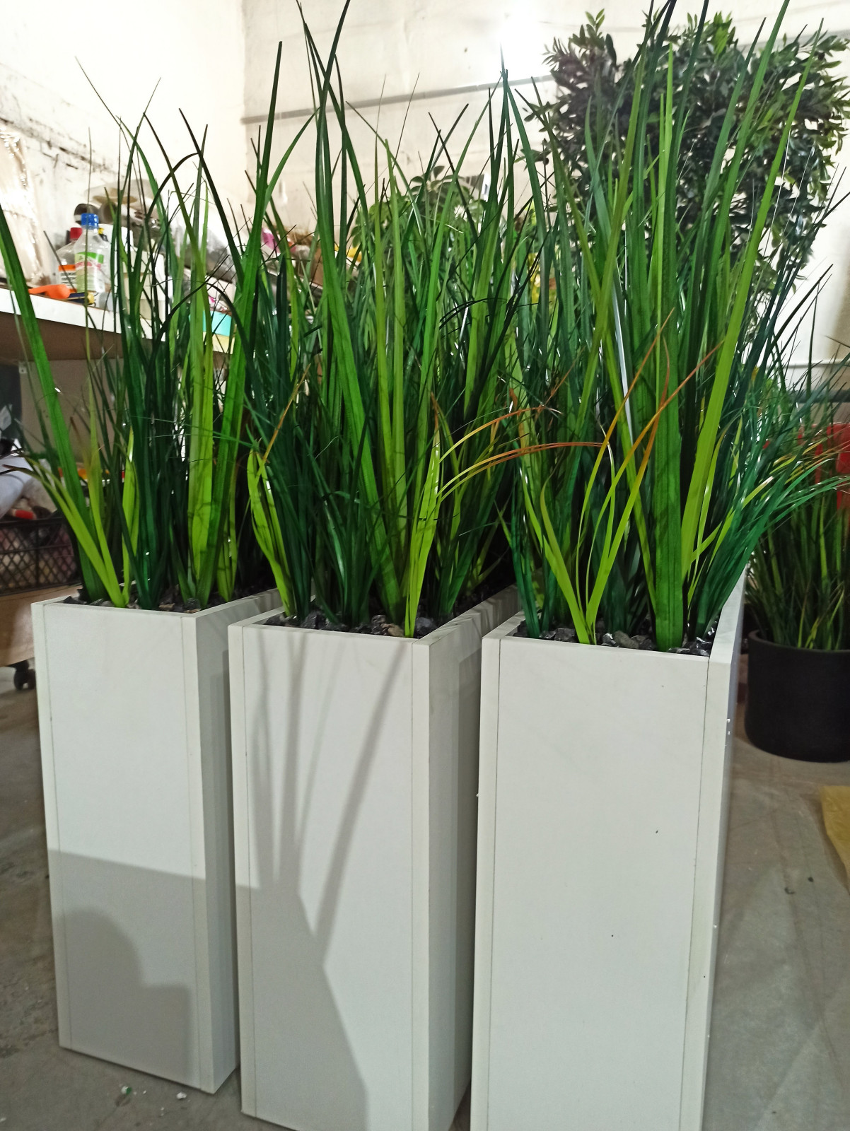 Трава осока (контейнерное озеленение)