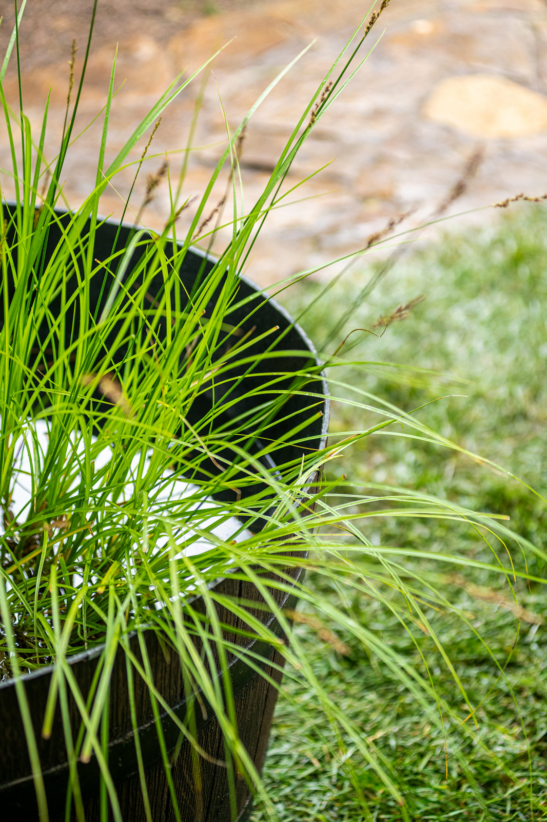 Современный хуторок у Наташи Королевой