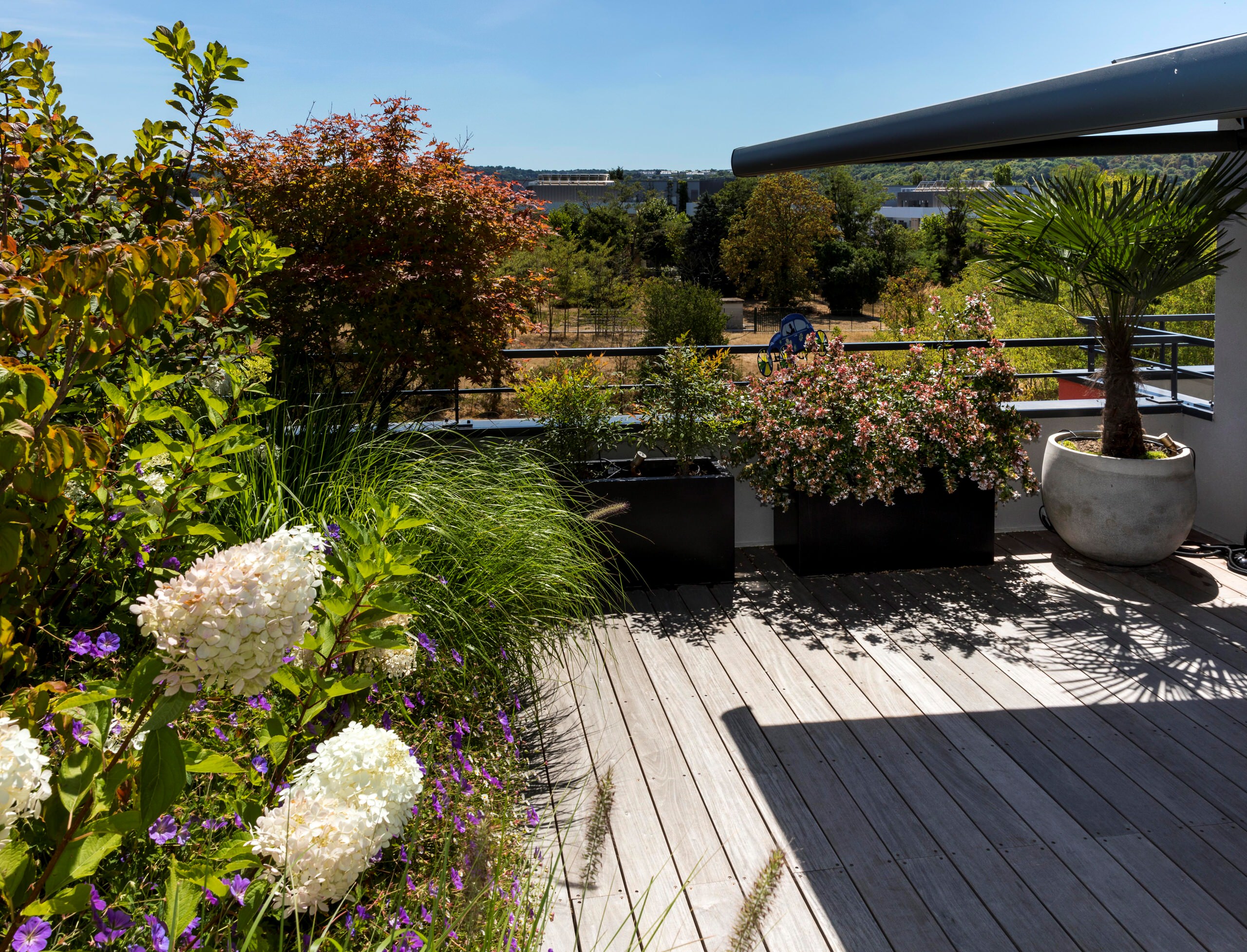 une terrasse foisonnante!