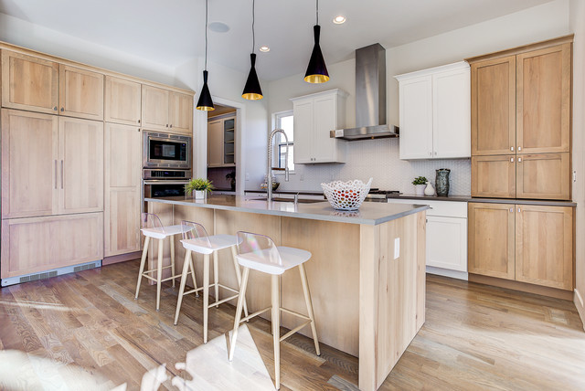 Wash Park transitional-kitchen