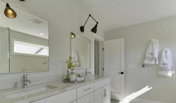 Transitional home design photo in Minneapolis