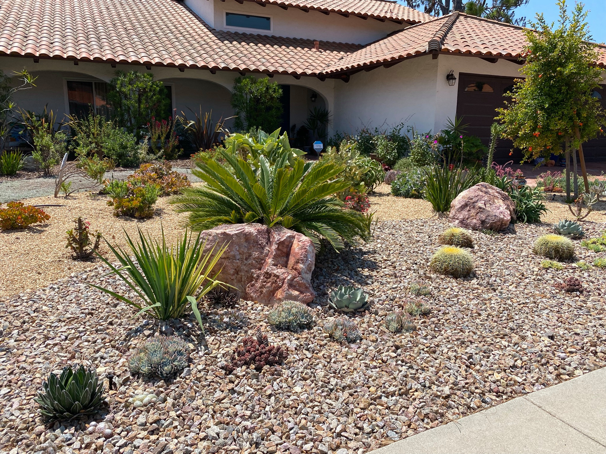 Rancho Palos Verdes, CA - Front Yard Regenerative Renovation