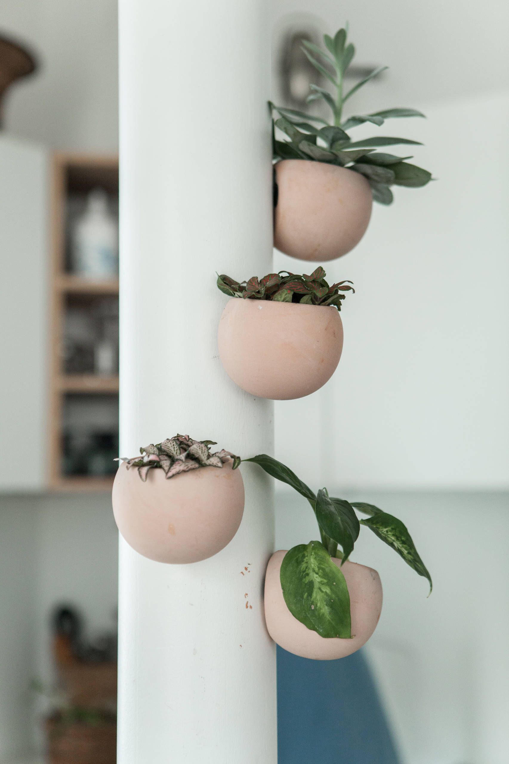 Rénovation totale d'un appartement alliant ancien et contemporain