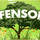 Jeffenson's Tree Service & Landscaping