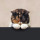 lynn_johnston61