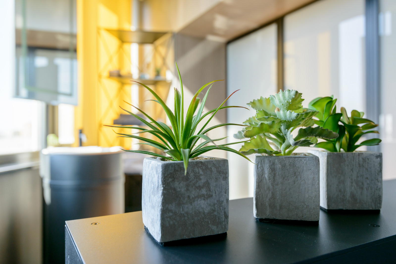 Интерьер Андрея Шемонаева