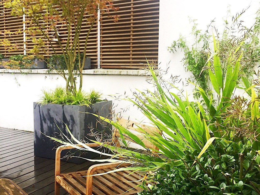 Idée de décoration pour une terrasse design de taille moyenne avec une cour.