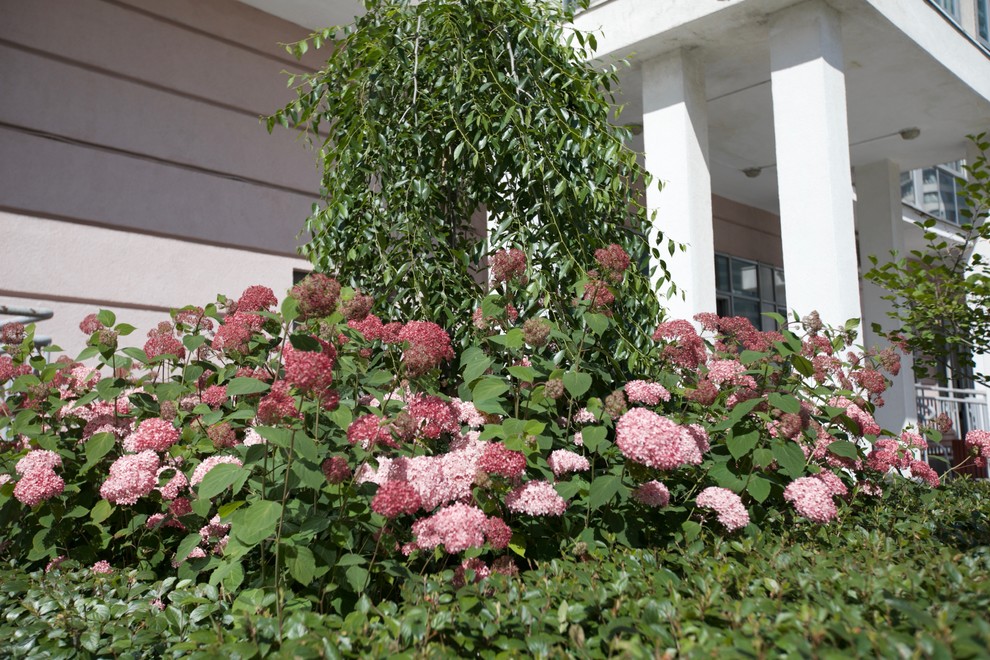Оформление входа в подъезд многоквартирного дома на Ходынке ЖК "Гранд парк"