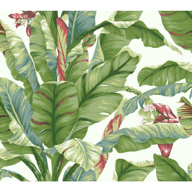 Banana Leaf Peel and Stick Wallpaper - Tropical - Wall Decals - by York