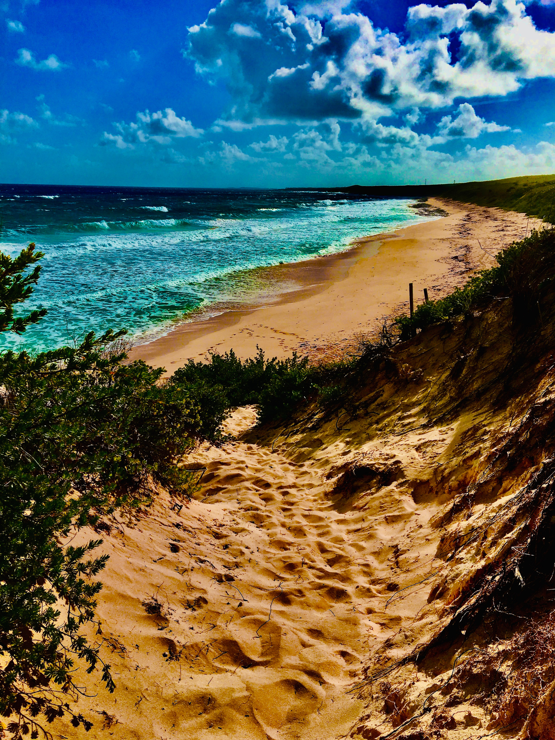 Surfers Beach Path