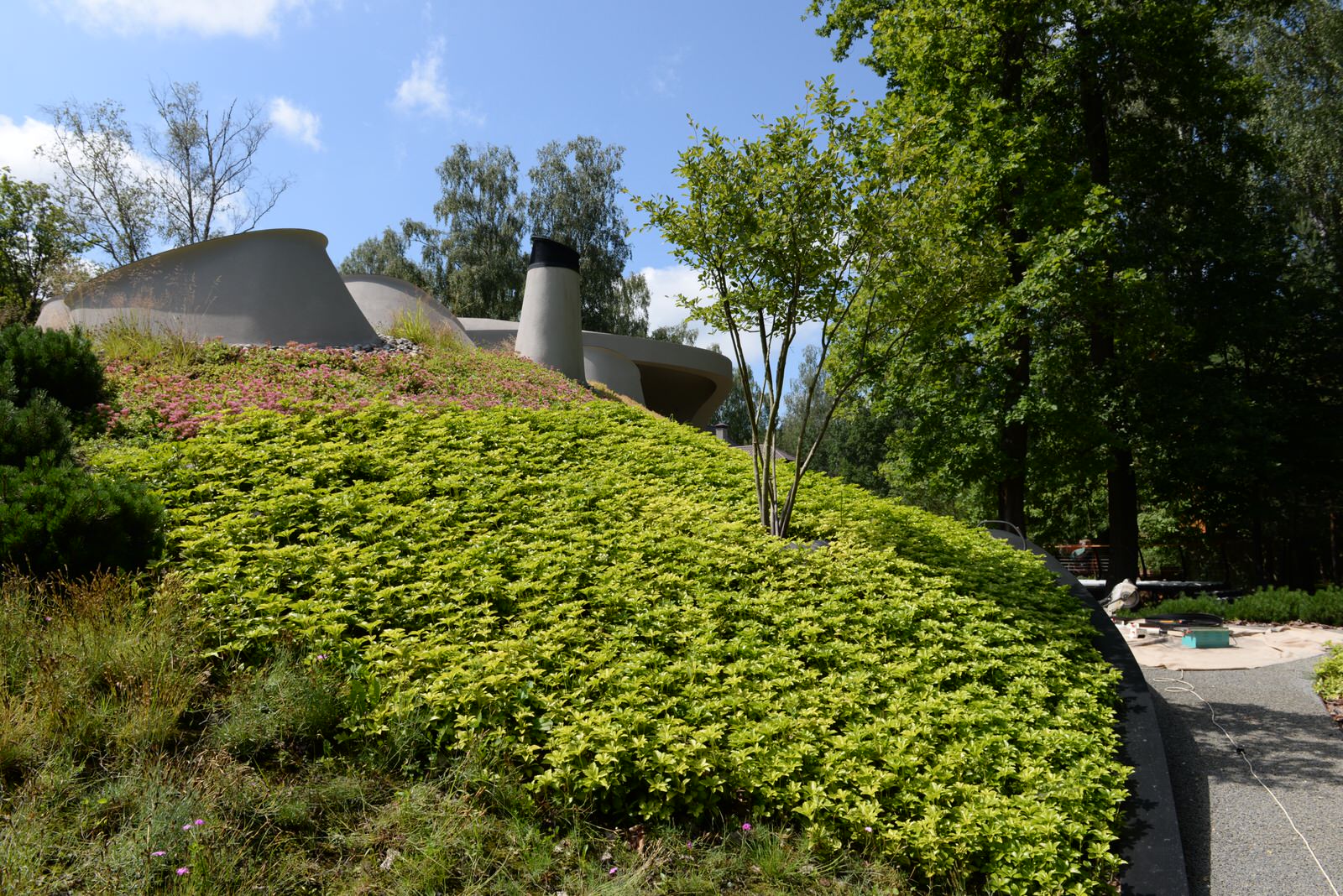 Бионический дом