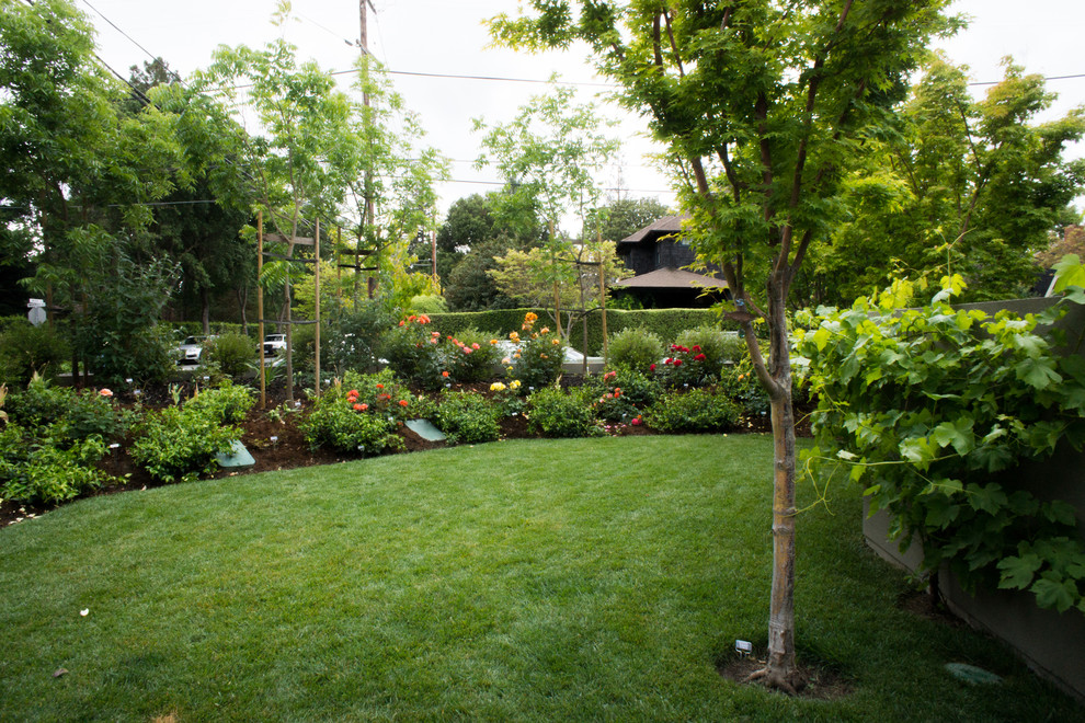 Design ideas for a traditional landscaping in San Francisco.