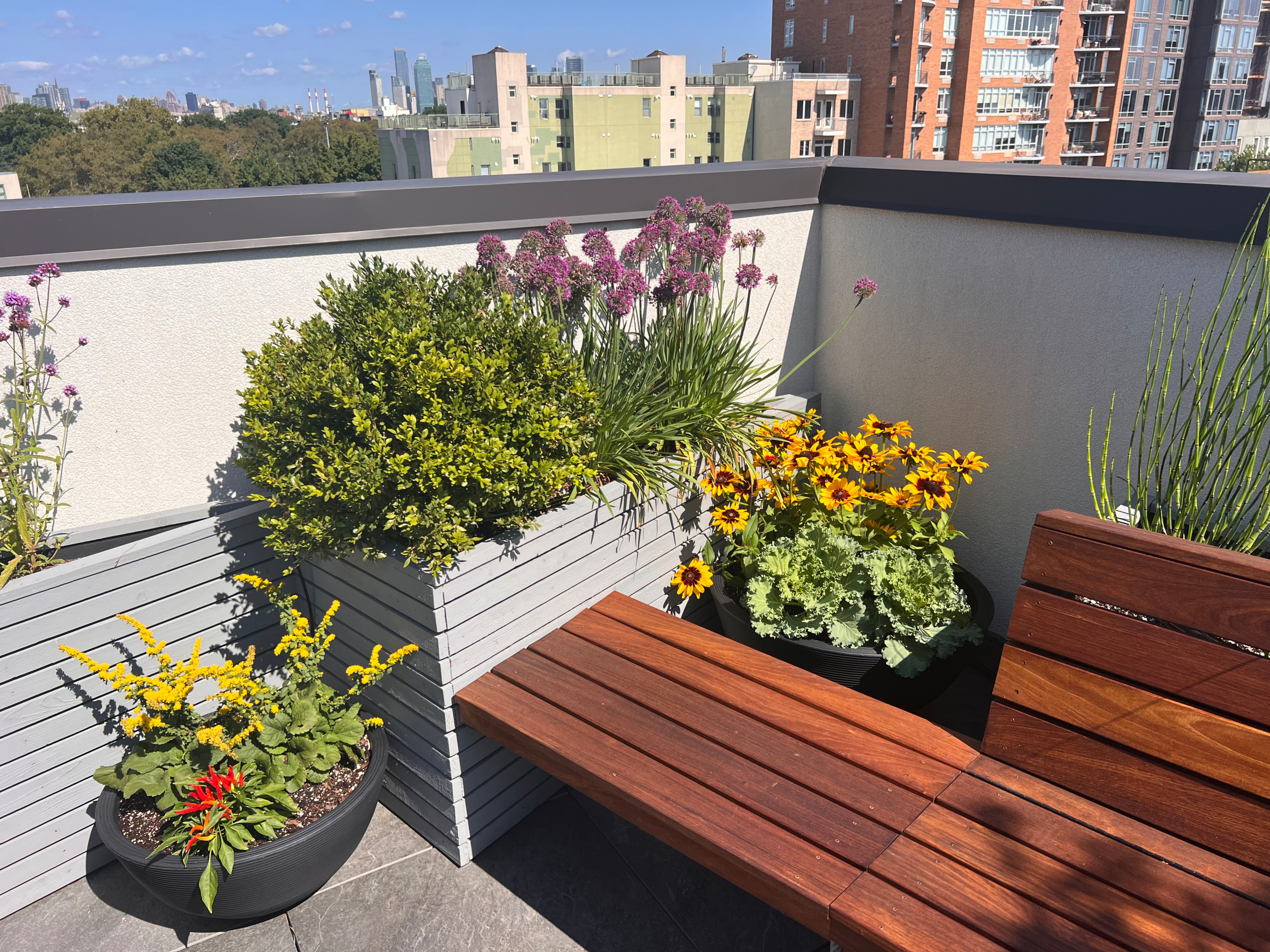Williamsburg Roof Garden