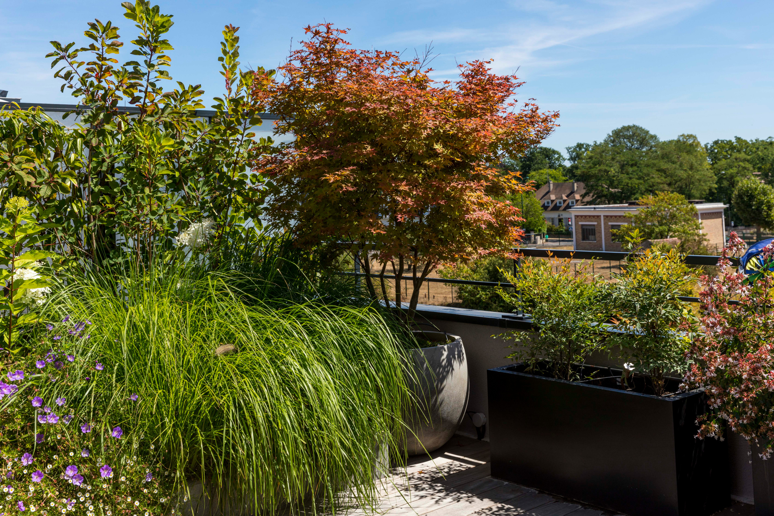 une terrasse foisonnante!