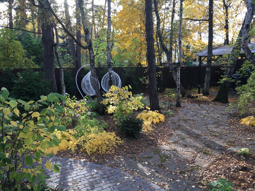 Белкин сад. Осень 2019