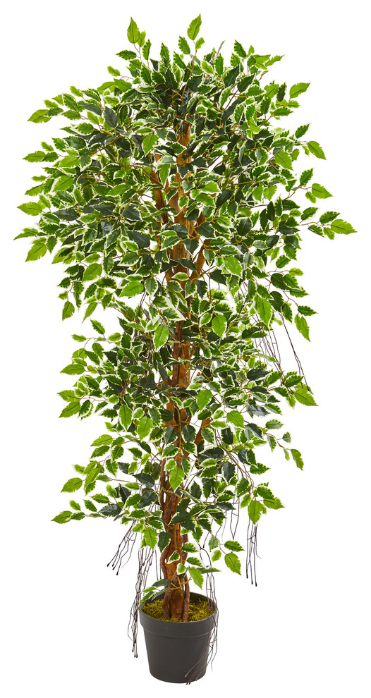 5' Elegant Ficus Artificial Tree Contemporary Artificial Plants And