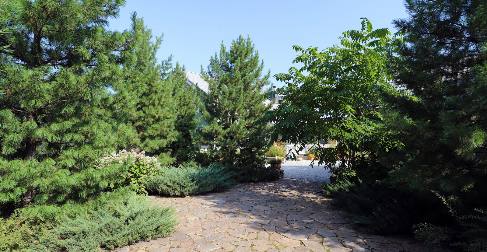 Полынный берег. Новые снимки