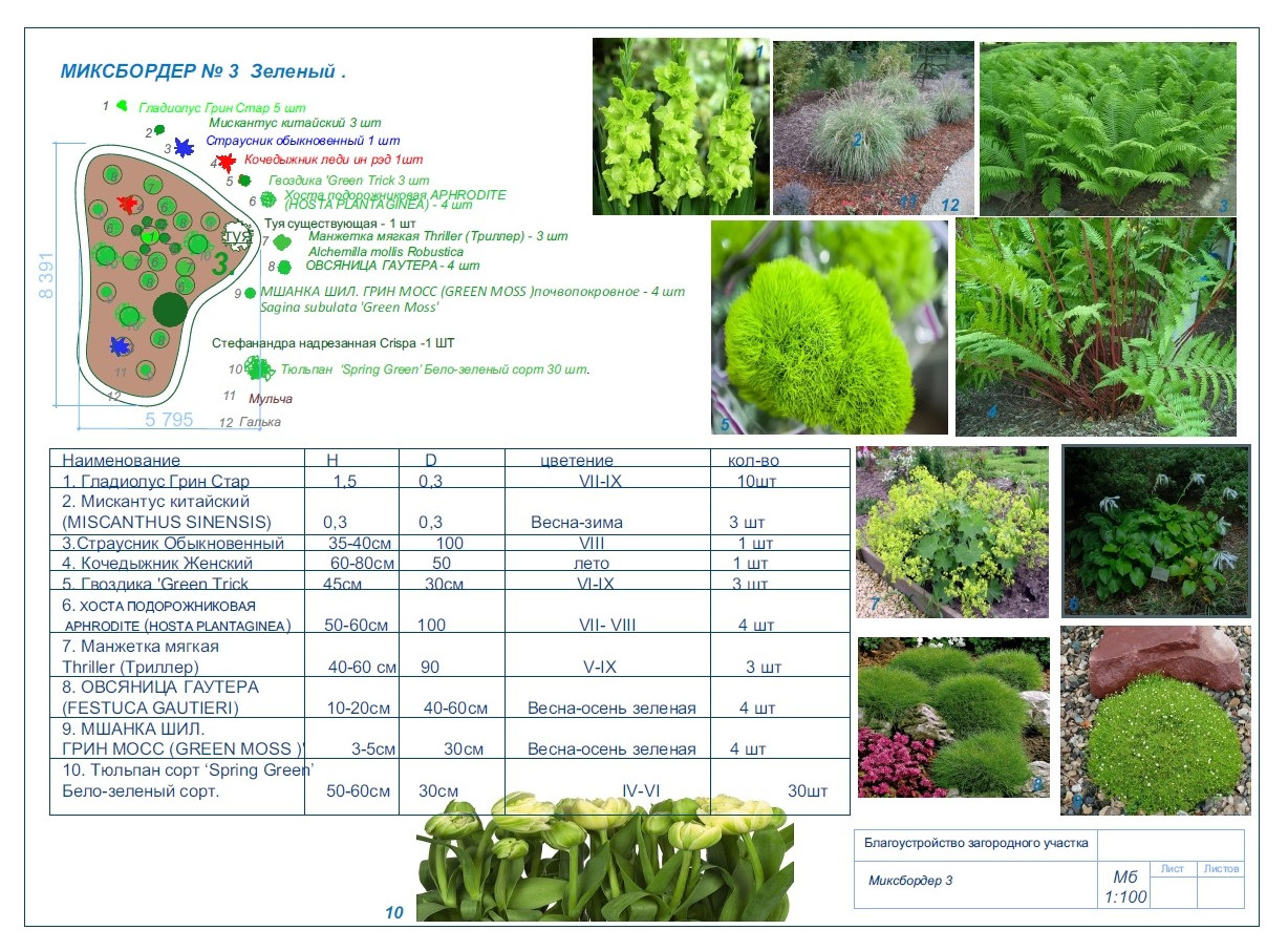 Дом с участком , дипломная работа.