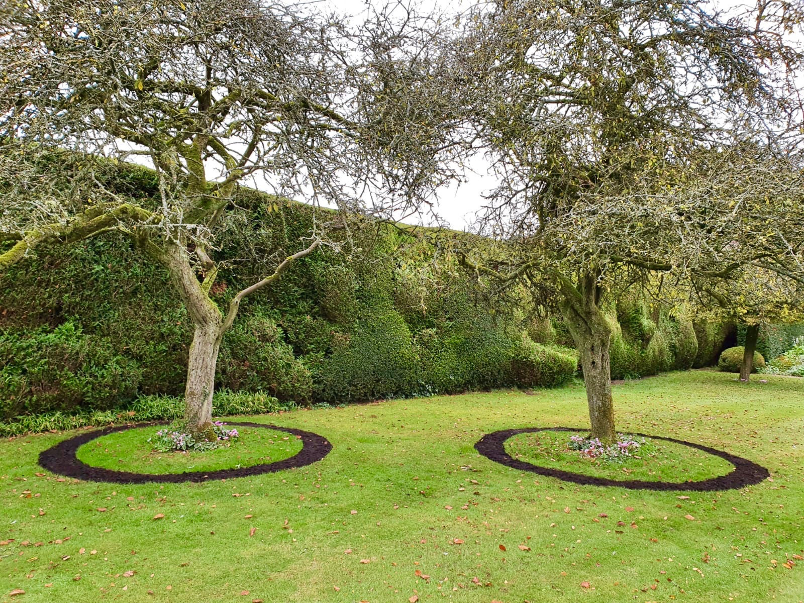 Arboriculture