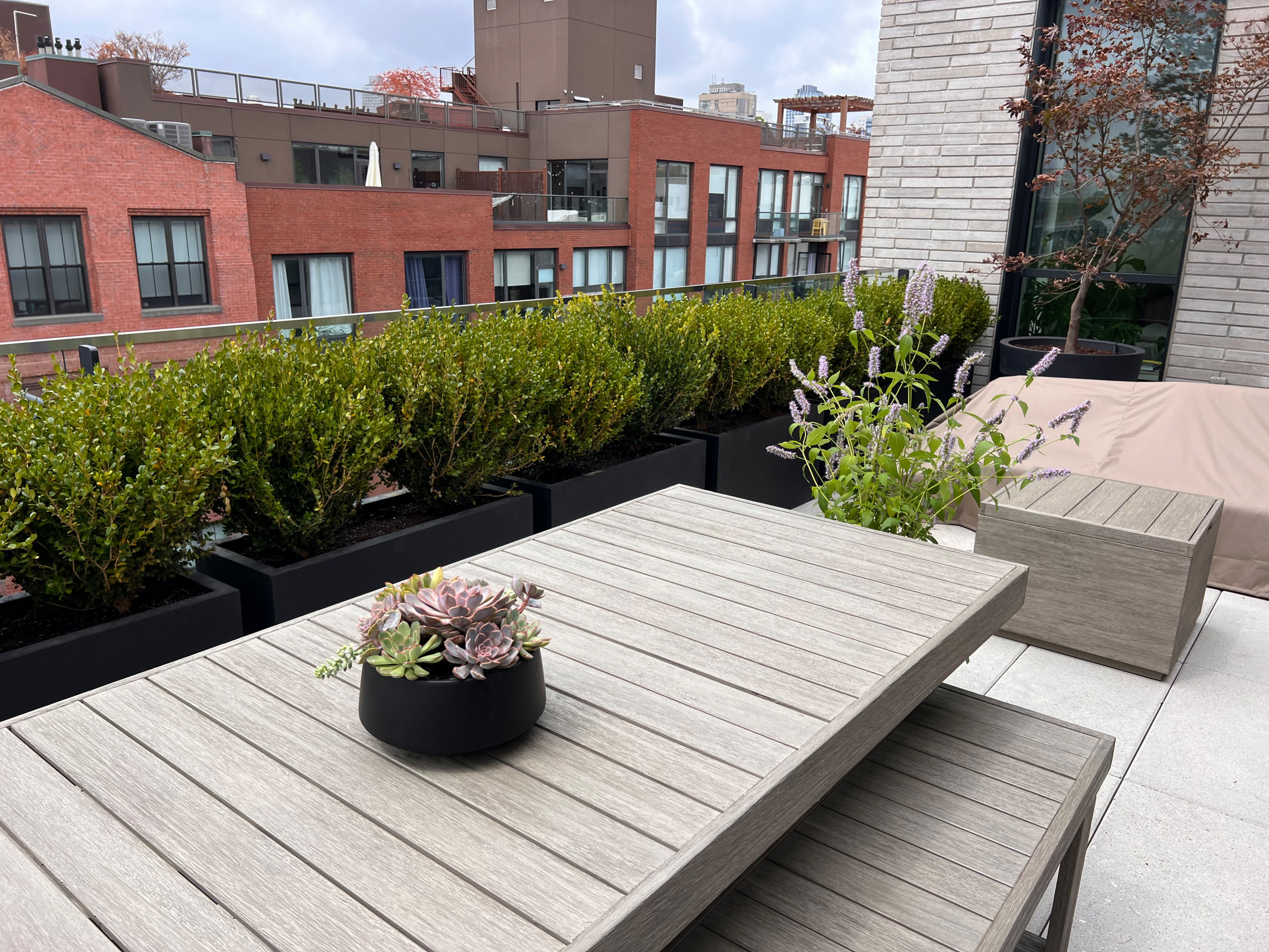 Williamsburg new terrace