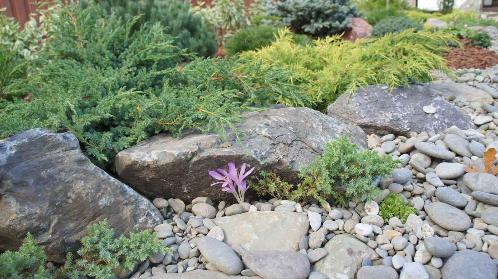 участок в Прохорово