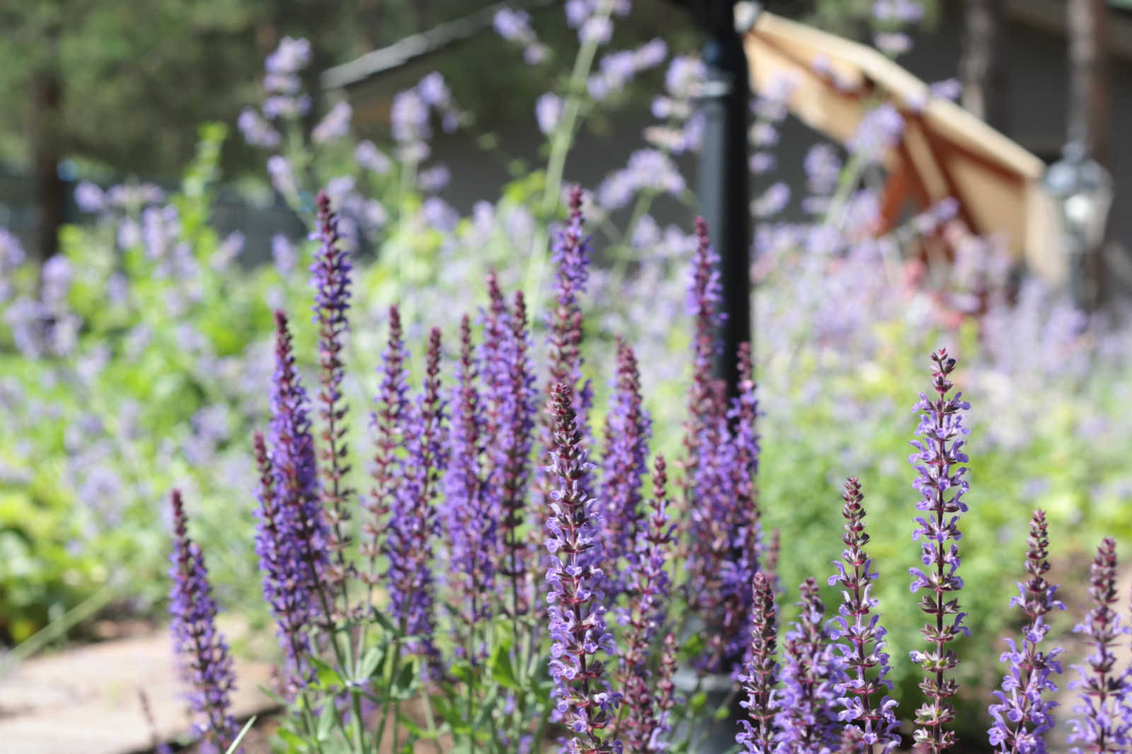 Солнечный берег