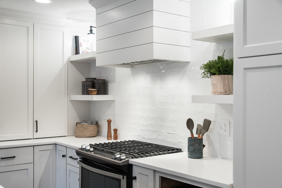 Kitchen - transitional kitchen idea in Chicago