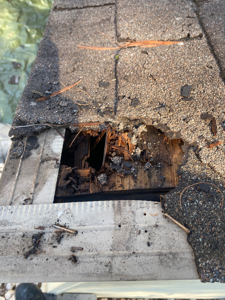 Shed Roof Repair
