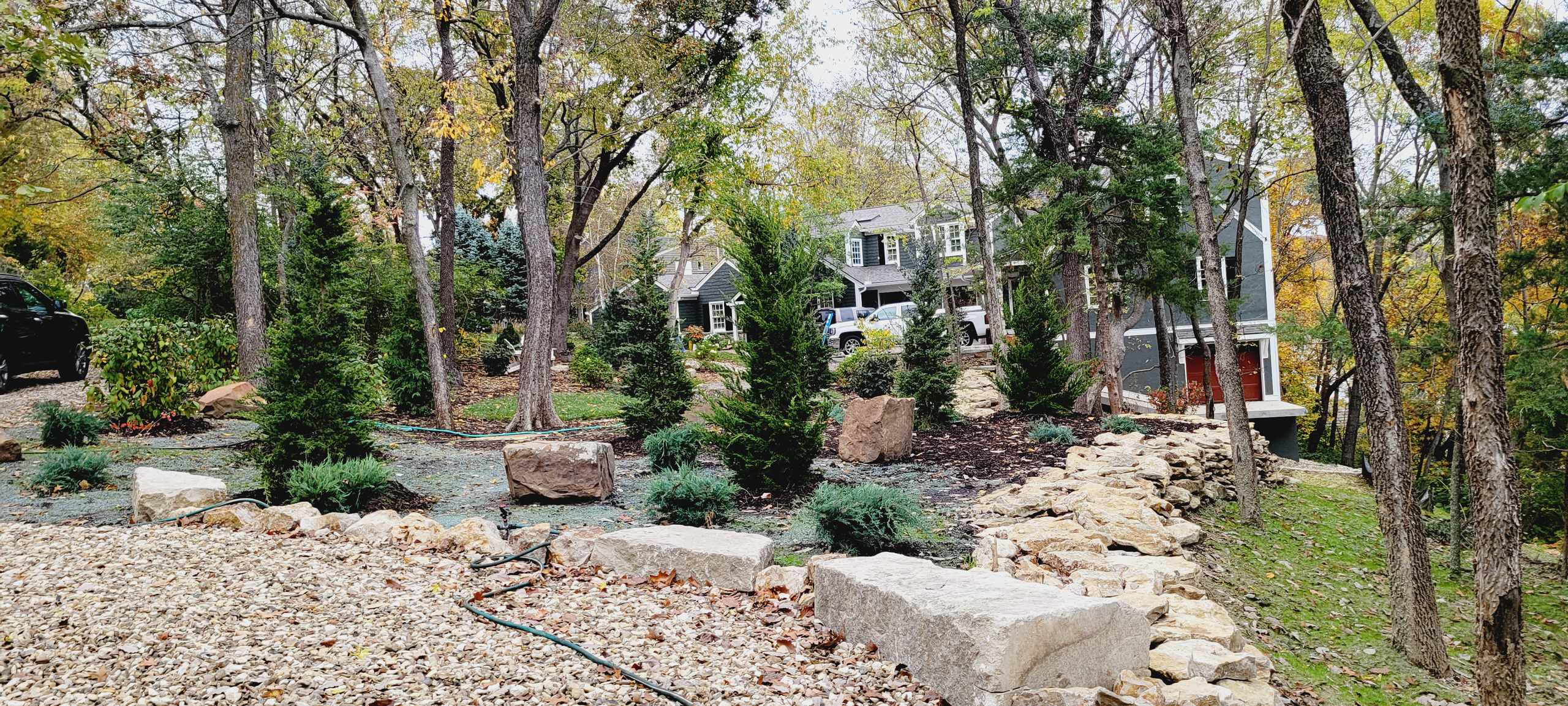 Woodland Restoration