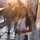 itsmeaileen