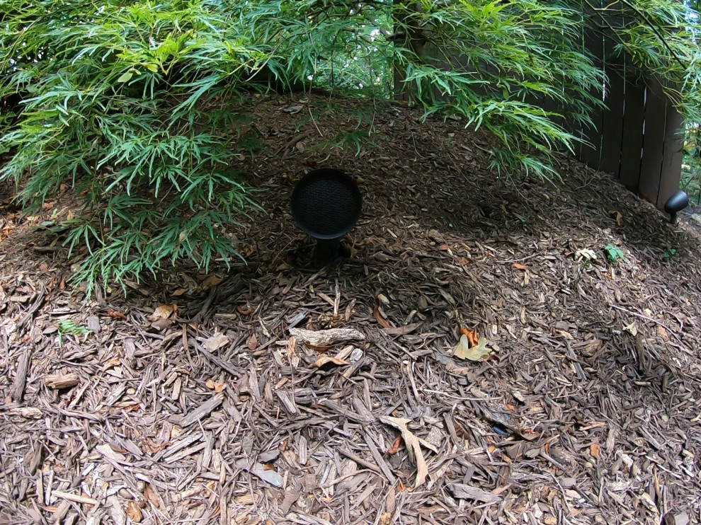 Outdoor Audio (Sonance SLS System & Garden Series)