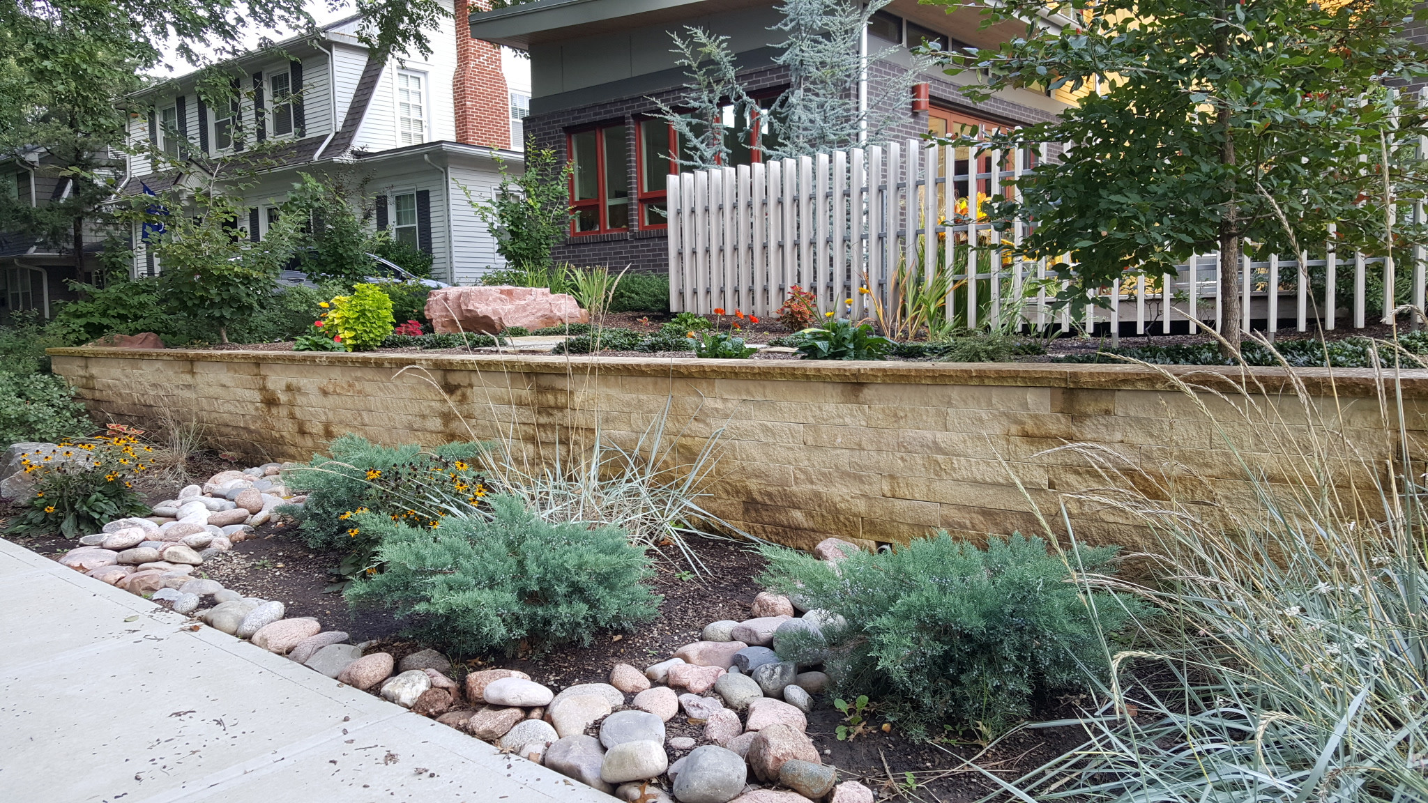 Westwood Contemporary Front Yard