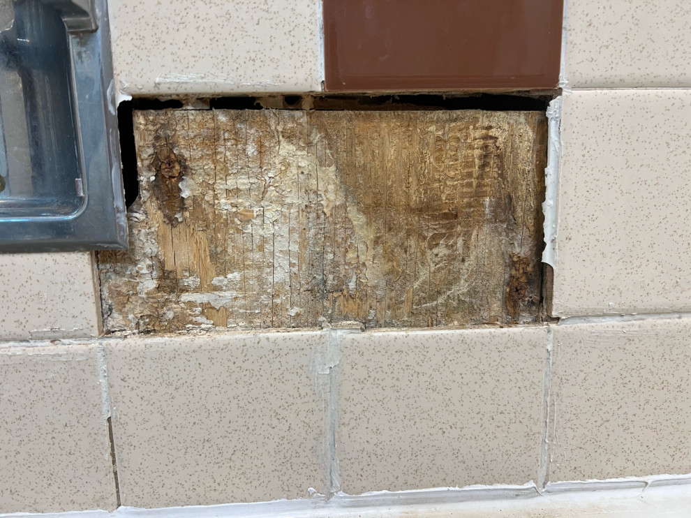 plywood under shower tile
