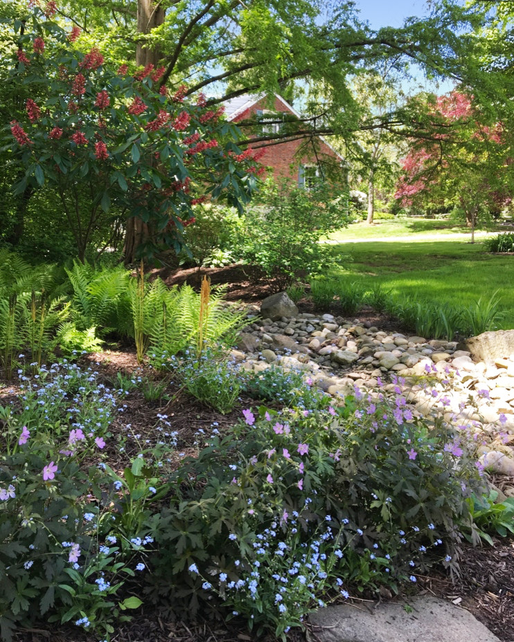 Woodland Edge, Radnor, PA Landscape Philadelphia by Gwendolyn