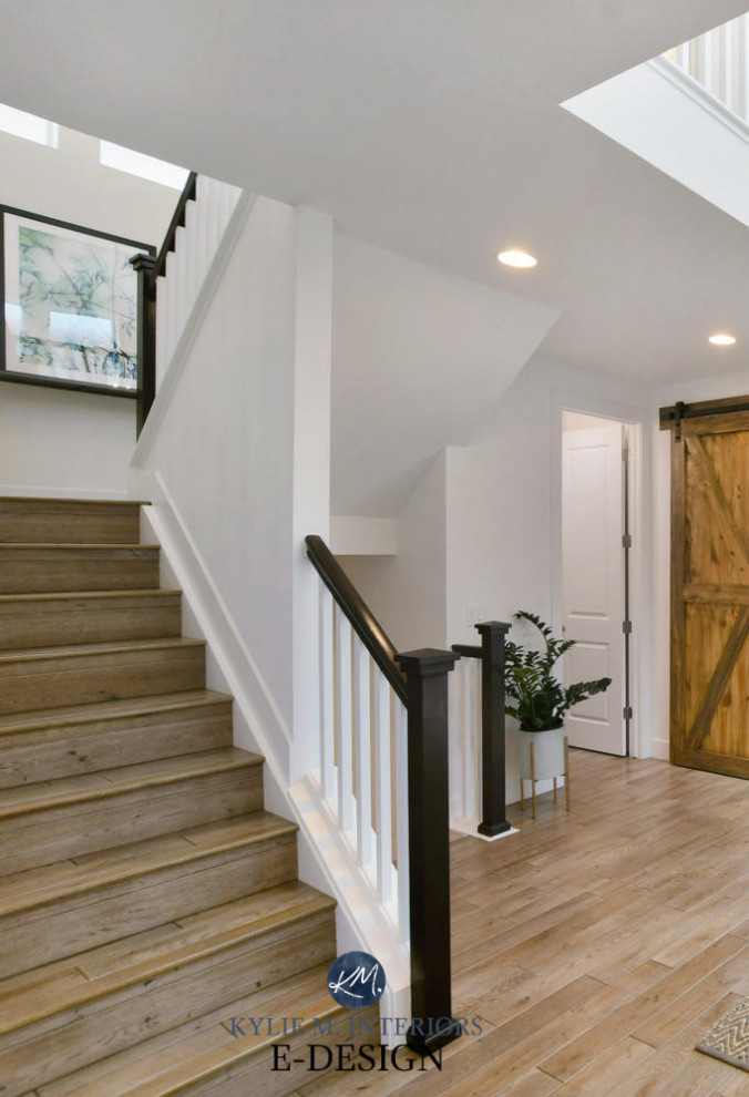 Example of a mid-sized transitional ceramic tile, beige floor and vaulted ceiling entryway design with white walls and a black front door