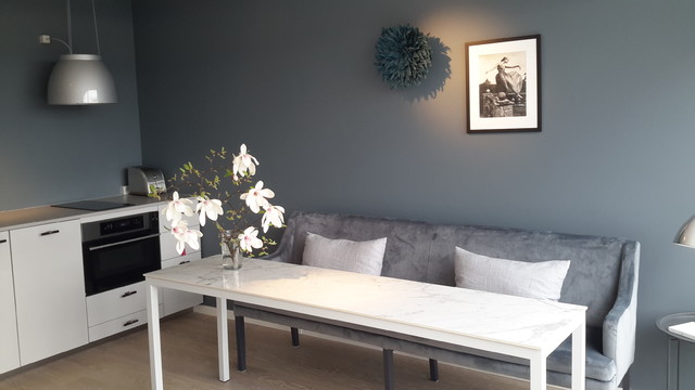 Lille K&oslash;benhavener lejlighed nordico-comedor