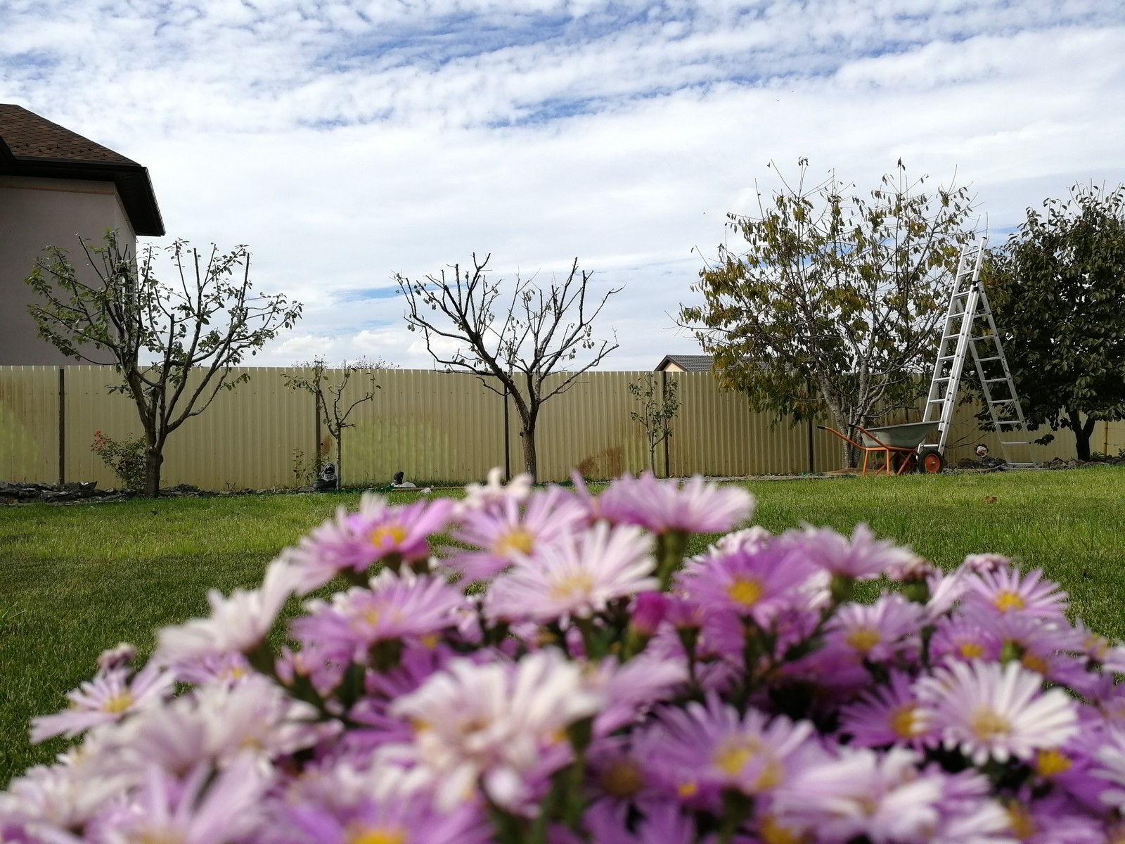 Ландшафтный дизайн