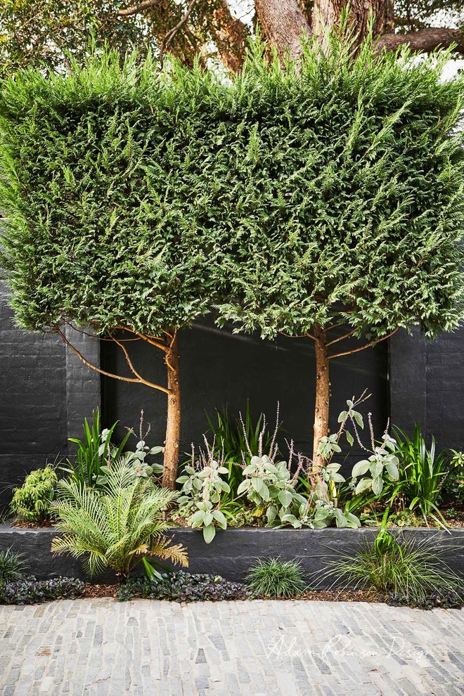 Design ideas for a mid-sized contemporary backyard deck in Sydney with no cover.