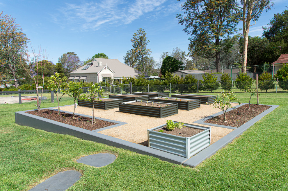 This is an example of an expansive contemporary backyard full sun garden in Sydney with a vegetable garden.