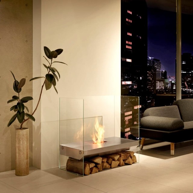 Ecosmart Fire Igloo Fireplace Modern Living Room Los Angeles