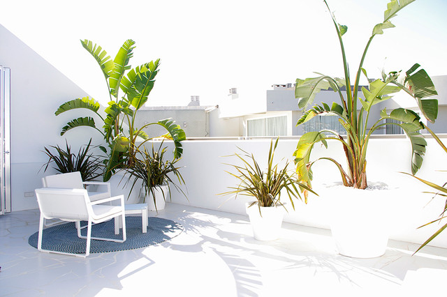 Sobreatico Ibiza coastal-deck