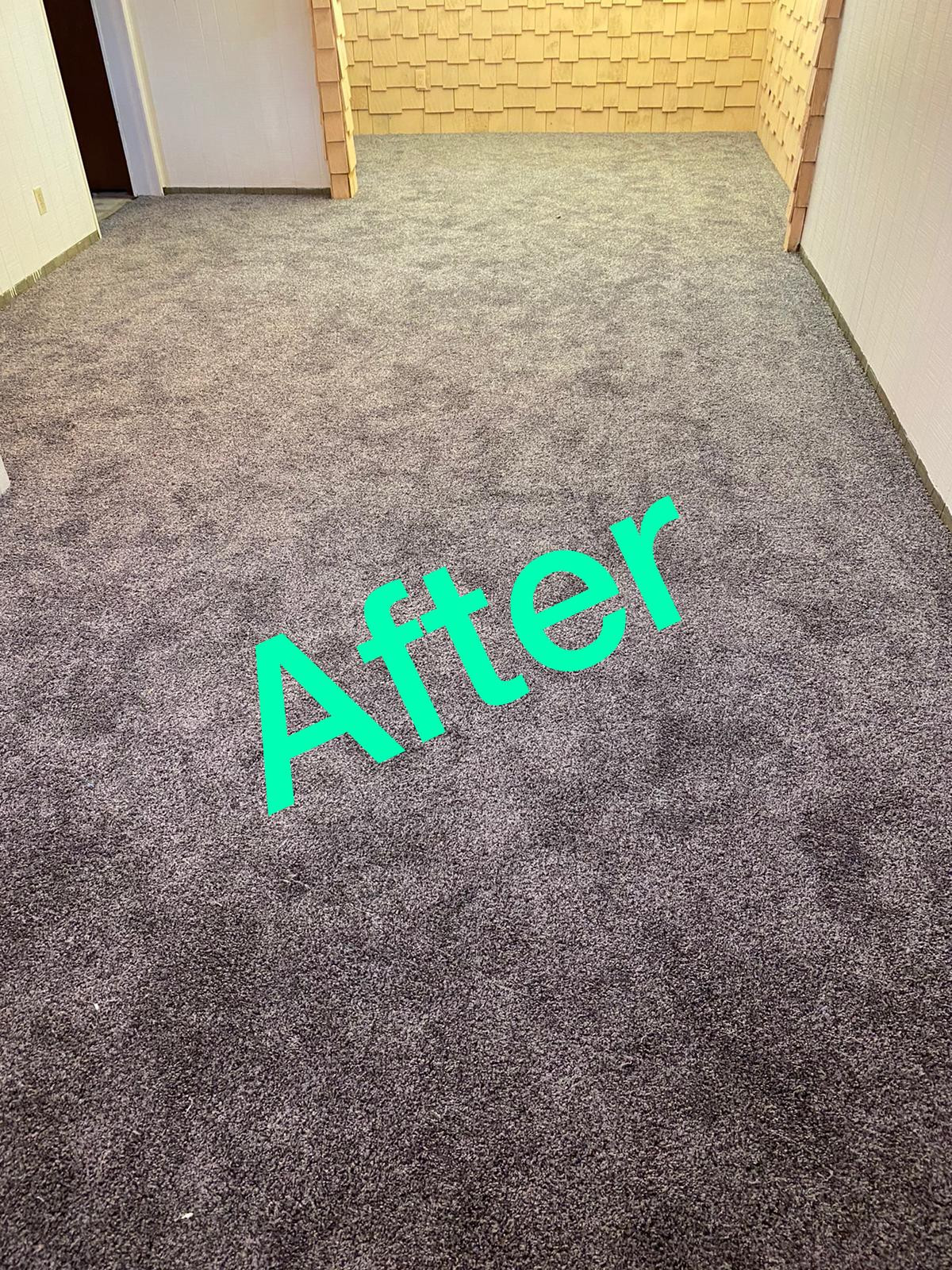 Custom Carpet in New Home